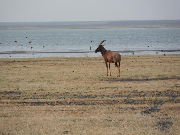 Sibiloi National Park: The Cradle of Humankind